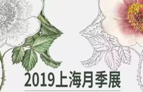 假期综合症？来这里让百万月季给你回回血！