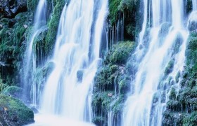 5月份开始，喜鹊报喜来，一喜荣华富贵，二喜添财添丁的3大生肖