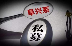原创 
            阜兴案新进展：意隆财富总经理、副总经理被批捕 共计15人被批捕