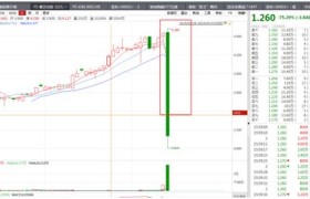 正在研究熔断机制？港交所回应市场关切：目前尚处非常初步阶段