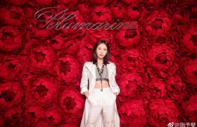 蹭戛纳红毯的网红被扒，曾是好莱坞大片女主，杨幂都给她作配！