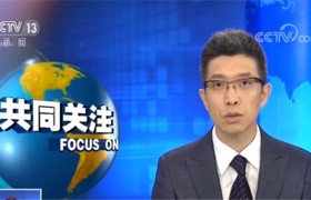 顾此失彼？韩国撤回亚洲足协杯举办申请 申办2023年女足世界杯