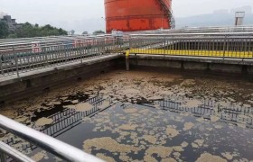 酒香不怕污水深？泸州老窖刘淼“责任论”受考