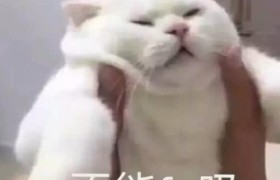 他把宾馆的电视打包带走了…