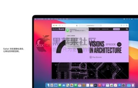 macOS Big Sur 11.4 (20F71) 正式版 自带OpenCore (OC引导) v0.6.9 黑苹果原版镜像