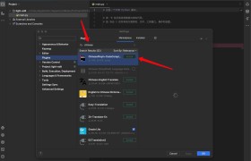 JetBrains设置中文