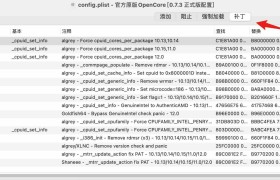 OC引导配置教程-Kernel设置