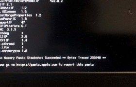 In Memory Panic Stackshot Succeeded